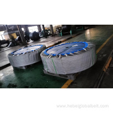 High Temperature Resistant Nylon Conveyor belt